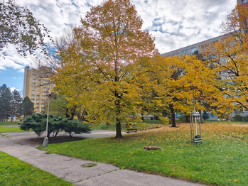 Pronájem bytu 3+kk v osobním vlastnictví 63 m², Praha 4 - Chodov