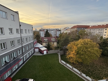 Pronájem bytu 2+1 v osobním vlastnictví 71 m², Praha 10 - Vršovice