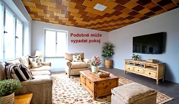Vizualizace pokoje - Prodej domu 200 m², Rovečné