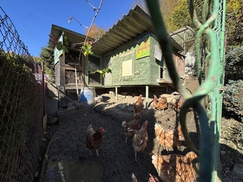 Prodej domu 105 m², Dolní Újezd