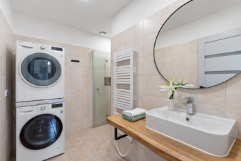 Dolní koupelna - Prodej domu 316 m², Dřísy