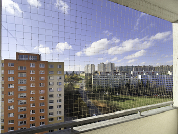 Pronájem bytu 1+1 v osobním vlastnictví 41 m², Brno