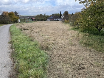 Prodej pozemku 2813 m², Hustopeče