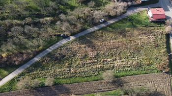 Prodej pozemku 2813 m², Hustopeče