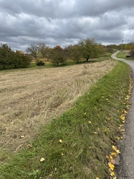 Prodej pozemku 2813 m², Hustopeče