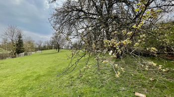 Prodej pozemku 2948 m², Grešlové Mýto