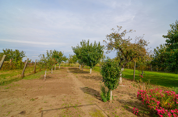 Prodej domu 185 m², Moravská Nová Ves