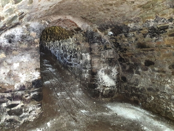 Prodej pozemku 2394 m², Moravský Krumlov