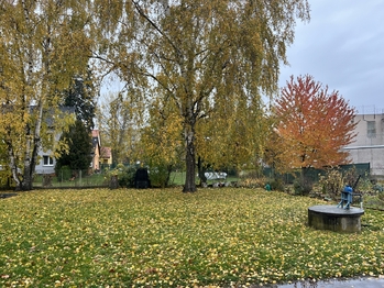 zahrádka - Prodej bytu 3+1 v osobním vlastnictví 70 m², Pardubice