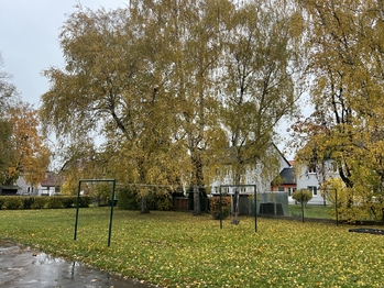 zahrádky - Prodej bytu 3+1 v osobním vlastnictví 70 m², Pardubice