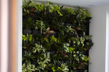 Pronájem domu 98 m², Zubří