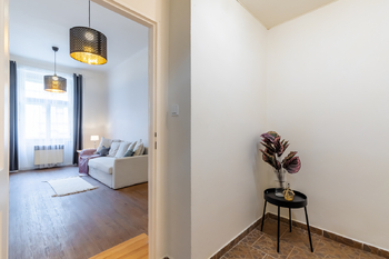 Pronájem bytu 1+kk v osobním vlastnictví 45 m², Praha 3 - Žižkov