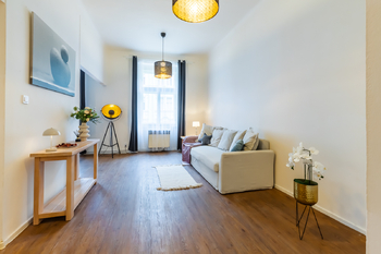 Pronájem bytu 1+kk v osobním vlastnictví 45 m², Praha 3 - Žižkov