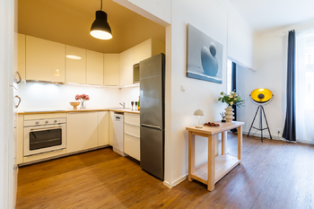 Pronájem bytu 1+kk v osobním vlastnictví 45 m², Praha 3 - Žižkov