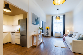 Pronájem bytu 1+kk v osobním vlastnictví 45 m², Praha 3 - Žižkov
