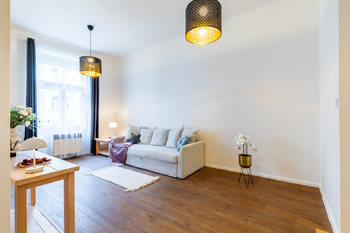 Pronájem bytu 1+kk v osobním vlastnictví 45 m², Praha 3 - Žižkov