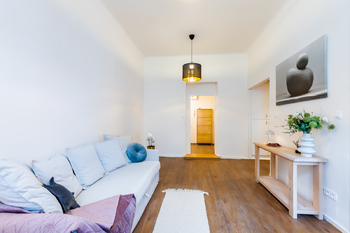 Pronájem bytu 1+kk v osobním vlastnictví 45 m², Praha 3 - Žižkov