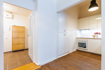 Pronájem bytu 1+kk v osobním vlastnictví 45 m², Praha 3 - Žižkov