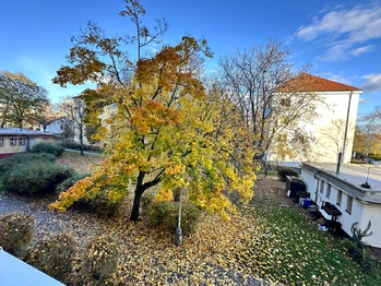 Prodej bytu 2+1 v osobním vlastnictví 43 m², Praha 10 - Strašnice