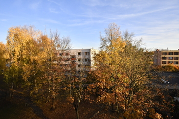 Prodej bytu 1+1 v osobním vlastnictví 42 m², Hradec Králové