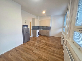 Pronájem bytu 1+kk v osobním vlastnictví 27 m², České Budějovice