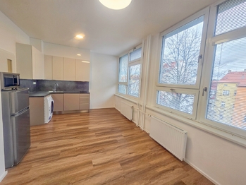 pokoj s kuchyňským koutem - Pronájem bytu 1+kk v osobním vlastnictví 27 m², České Budějovice