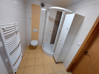 Pronájem bytu 1+kk v osobním vlastnictví 79 m², Rousínov