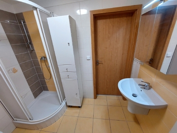 Pronájem bytu 1+kk v osobním vlastnictví 79 m², Rousínov