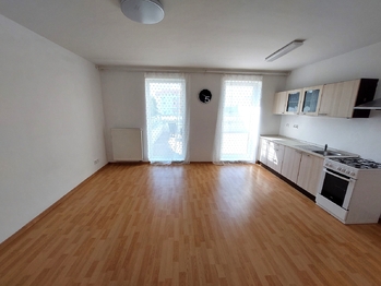 Pronájem bytu 1+kk v osobním vlastnictví 79 m², Rousínov