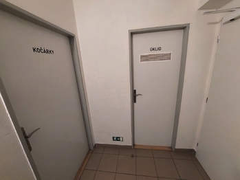 Pronájem bytu 1+kk v osobním vlastnictví 79 m², Rousínov