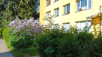 Pronájem bytu 3+1 v osobním vlastnictví 55 m², Praha 9 - Střížkov