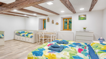 Prodej domu 320 m², Drahobuz