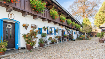 Prodej domu 320 m², Drahobuz