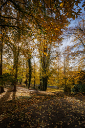 Prodej bytu 2+1 v družstevním vlastnictví 55 m², Ostrava