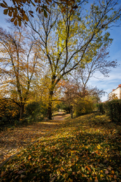 Prodej bytu 2+1 v družstevním vlastnictví 55 m², Ostrava