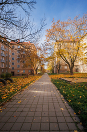 Prodej bytu 2+1 v družstevním vlastnictví 55 m², Ostrava