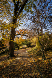 Prodej bytu 2+1 v družstevním vlastnictví 55 m², Ostrava