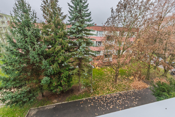 Výhled z bytu - Prodej bytu 2+1 v osobním vlastnictví 64 m², Chlumec