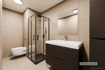 Vizualizace koupelny - Prodej bytu 2+1 v osobním vlastnictví 64 m², Chlumec