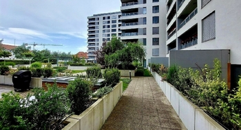 Zahrada  - Pronájem bytu 1+kk v osobním vlastnictví 30 m², Plzeň