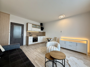 Pronájem bytu 1+kk v osobním vlastnictví 30 m², Plzeň