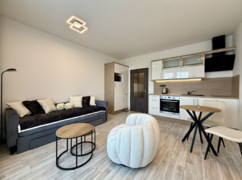 Pronájem bytu 1+kk v osobním vlastnictví 30 m², Plzeň