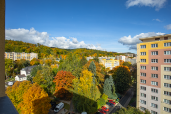 Prodej bytu 2+1 v družstevním vlastnictví 55 m², Litvínov