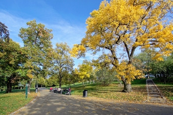 Prodej bytu 3+1 v družstevním vlastnictví 70 m², Praha 2 - Vinohrady