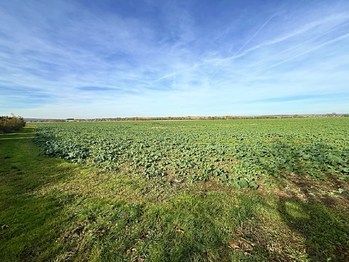 Prodej pozemku 4084 m², Chrast