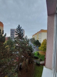 Prodej bytu 1+kk v družstevním vlastnictví 33 m², Most