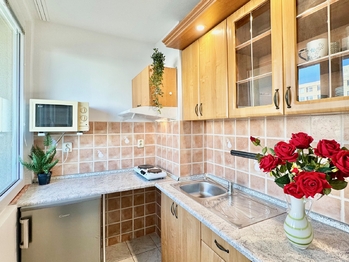 Pronájem bytu 1+kk v osobním vlastnictví 36 m², Pardubice