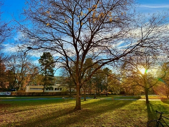 park v okolí domu - Pronájem bytu 1+kk v osobním vlastnictví 36 m², Pardubice