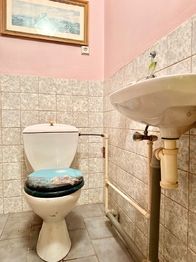WC - Prodej domu 109 m², Rybitví