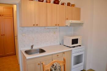 Pronájem bytu 1+1 v osobním vlastnictví 31 m², Luštěnice